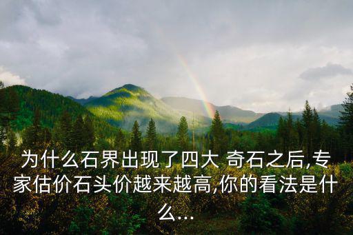 為什么石界出現(xiàn)了四大 奇石之后,專家估價石頭價越來越高,你的看法是什么...