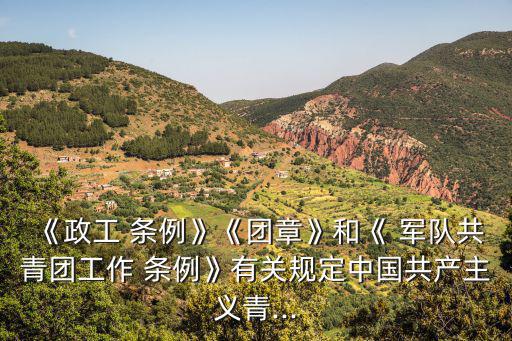 《政工 條例》《團(tuán)章》和《 軍隊(duì)共青團(tuán)工作 條例》有關(guān)規(guī)定中國共產(chǎn)主義青...