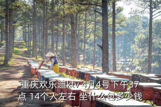 重慶歡樂(lè)迪ktv 4月4號(hào)下午37點(diǎn) 14個(gè)人左右 坐什么包多少錢(qián)