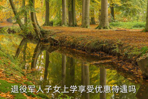 退役軍人子女上學(xué)享受優(yōu)惠待遇嗎