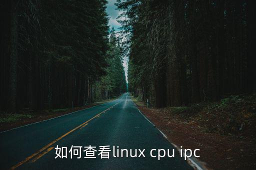 如何查看linux cpu ipc