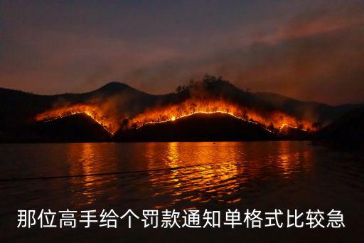 那位高手給個罰款通知單格式比較急