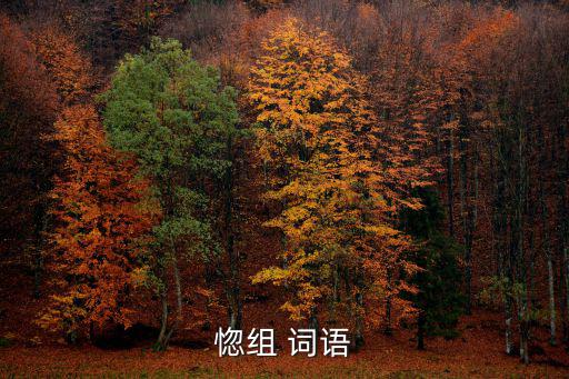 惚組 詞語