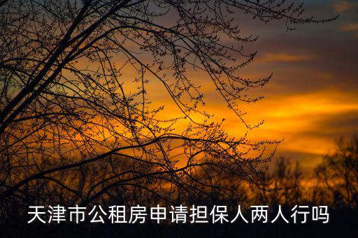 天津市公租房申請擔保人兩人行嗎