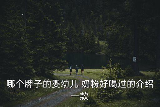 哪個牌子的嬰幼兒 奶粉好喝過的介紹一款