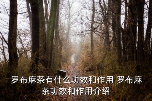 羅布麻的功效,中關湯羅布麻茶抗氧化促進血液循環