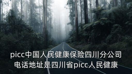 成都市科華南路2號中華保險，成都中國人民健康保險股份有限公司的地址