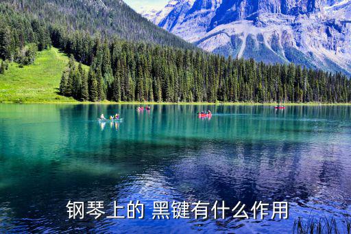  鋼琴上的 黑鍵有什么作用