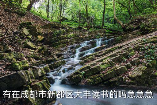 有在成都市新都區大豐讀書的嗎急急急
