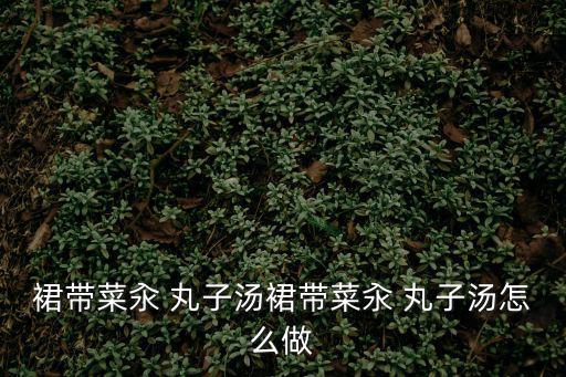 汆丸子湯,制丸子煲湯做法:蘿卜絲不要切太薄
