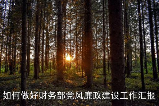黨風廉政建設工作情況匯報，機關單位落實一崗雙責情況匯報范文