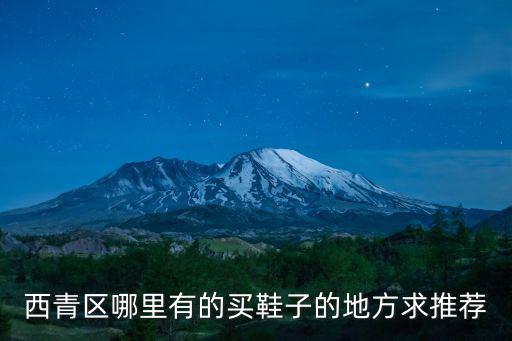 西青區哪里有的買鞋子的地方求推薦