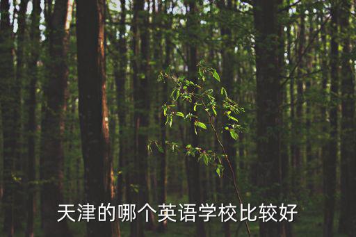 天津的哪個(gè)英語(yǔ)學(xué)校比較好