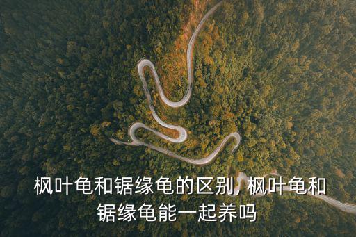 楓葉龜,秋葉龜和鋸齒龜比楓葉龜更好養(yǎng)