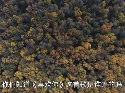 你們知道《喜歡你》這首歌是誰(shuí)唱的嗎