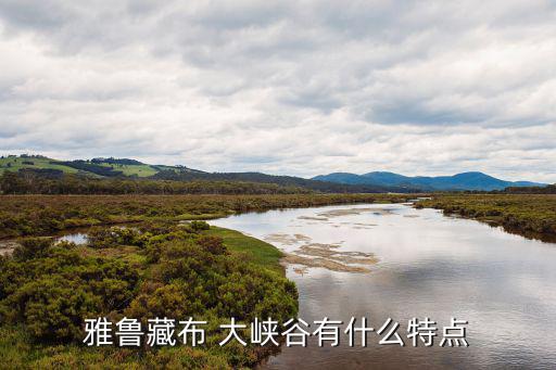 雅魯藏布江大峽谷,中國青藏高原麋鹿自然保護區大峽谷全球最深