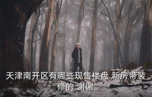 天津市南開區千家房產，天津南開區有哪些現售樓盤 新房帶裝修的 謝謝