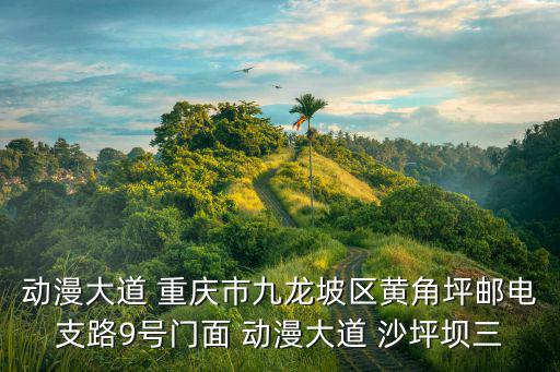 動漫大道 重慶市九龍坡區黃角坪郵電支路9號門面 動漫大道 沙坪壩三