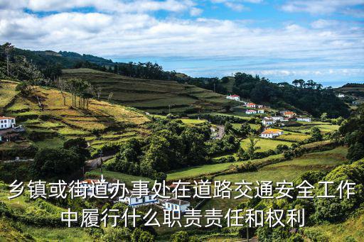 鄉鎮或街道辦事處在道路交通安全工作中履行什么職責責任和權利