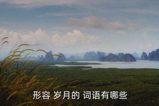  形容 歲月的 詞語有哪些