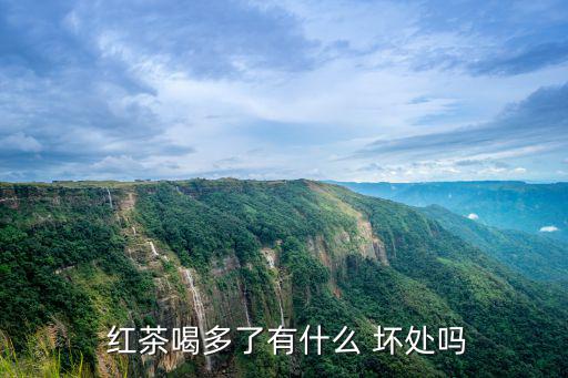  紅茶喝多了有什么 壞處嗎