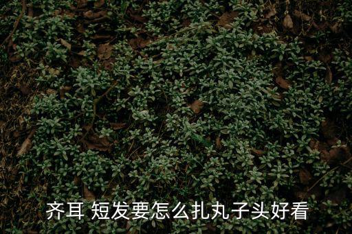  齊耳 短發(fā)要怎么扎丸子頭好看