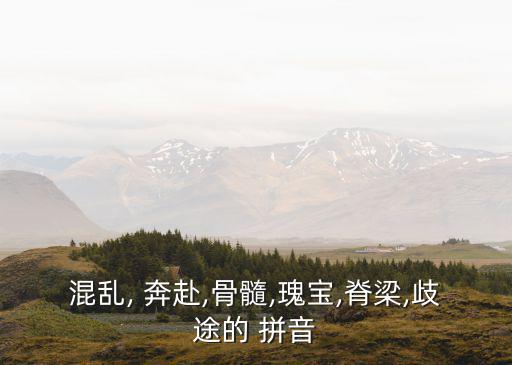 奔赴拼音,奔赴work:全身心投入工作拼音:跑來跑去