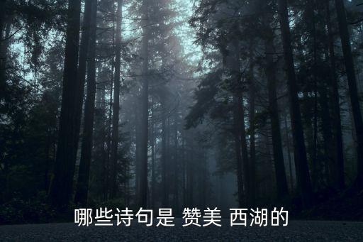 哪些詩(shī)句是 贊美 西湖的