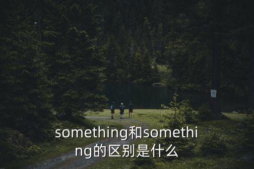 something和something的區別是什么