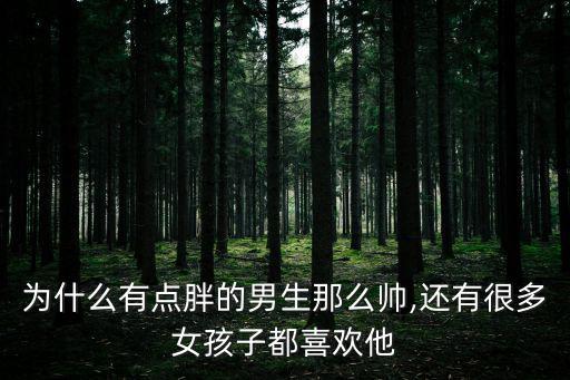 胖帥,從胖瘦問題到減肥運動鞋