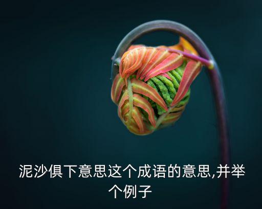 泥沙俱下的意思,清袁枚《壺中詩(shī)話》卷一:泥沙俱下沒(méi)有區(qū)別