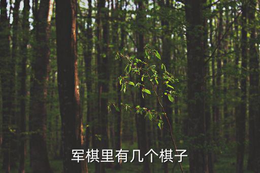 軍棋里有幾個棋子