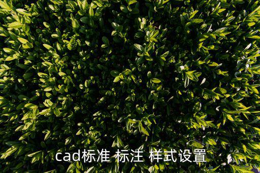 cad標注樣式,cad標注怎么復制?