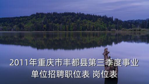 2011年重慶市豐都縣第三季度事業單位招聘職位表 崗位表