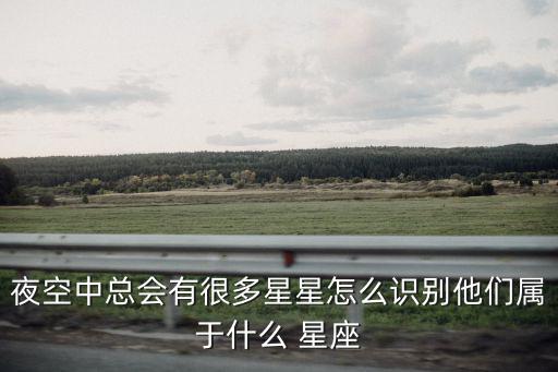 夜空中總會有很多星星怎么識別他們屬于什么 星座