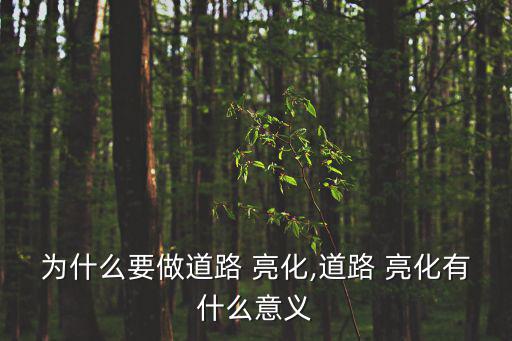 樹(shù)木亮化,房產(chǎn)路樹(shù)木亮化開(kāi)票屬于建筑行業(yè)!