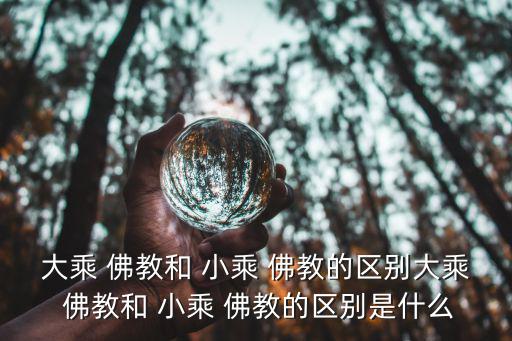 大乘 佛教和 小乘 佛教的區別大乘 佛教和 小乘 佛教的區別是什么