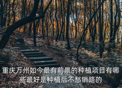 重慶萬州如今最有前景的種植項目有哪些最好是種植后不愁銷路的