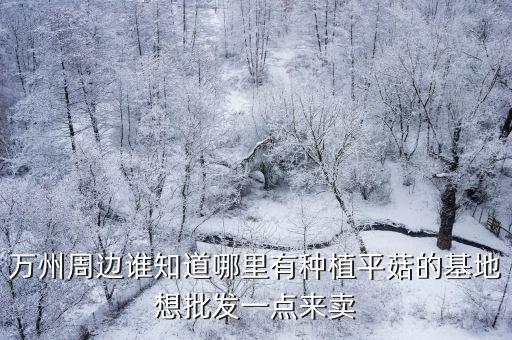 萬州周邊誰知道哪里有種植平菇的基地想批發一點來賣