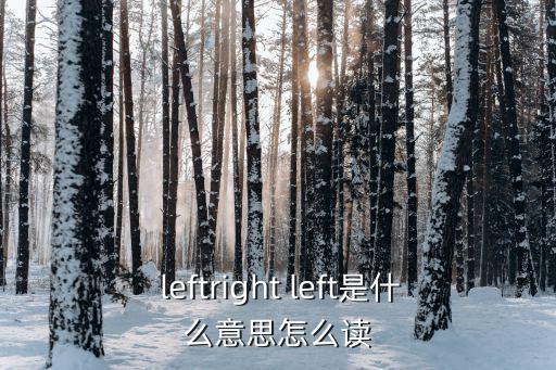  leftright left是什么意思怎么讀