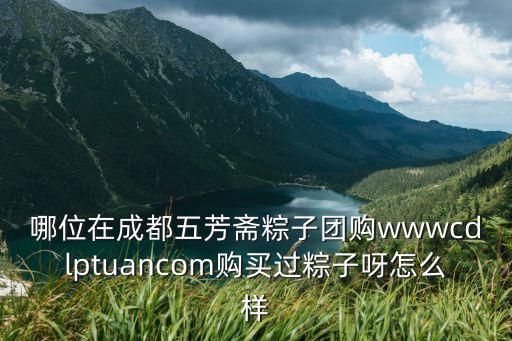 哪位在成都五芳齋粽子團購wwwcdlptuancom購買過粽子呀怎么樣
