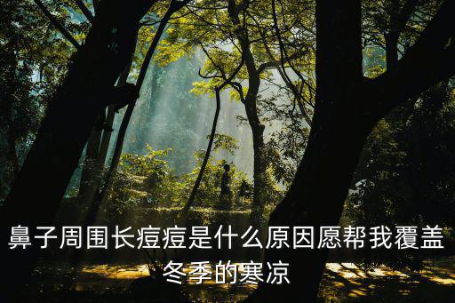 鼻子周圍長痘痘是什么原因愿幫我覆蓋冬季的寒涼