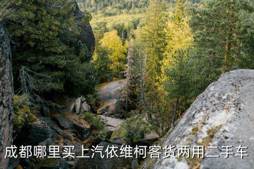 成都哪里買上汽依維柯客貨兩用二手車