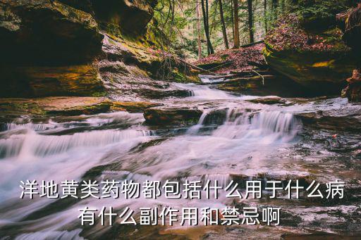  洋地黃類藥物都包括什么用于什么病有什么副作用和禁忌啊