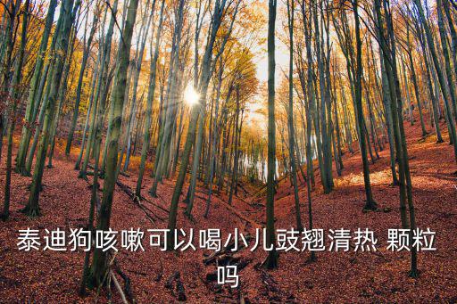 泰迪狗咳嗽可以喝小兒豉翹清熱 顆粒嗎