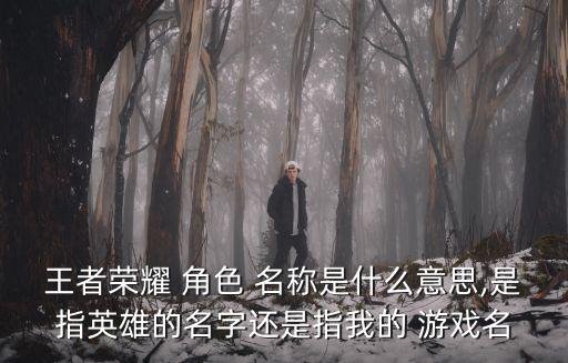 王者榮耀 角色 名稱是什么意思,是指英雄的名字還是指我的 游戲名