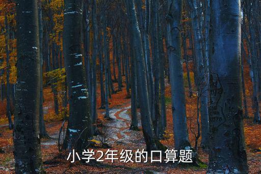 小學2年級的口算題