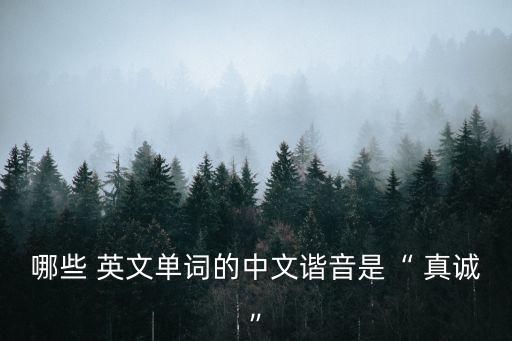 真誠英文,一點通英語詞典解釋:真誠、誠實、克蘭克