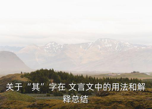 其在文言文中的意思,車禍現(xiàn)場情況