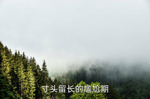 寸頭留長的尷尬期